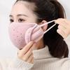 1pc-Winter Autumn And Winter Warm Thickened Face Mask With Ear Protection, Unisex, Three-dimensional Washable Reusable Cycling