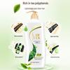 SURE Green Tea Seed Oil Control Dandruff Care Shampoo