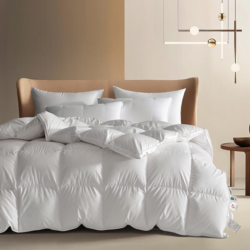 Yiyerya 95% Polish Goose Down Winter Duvet