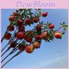 Faux Pomegranate Fruit Home Decor Berry Artificial Plant For Photography Props And Interior Design