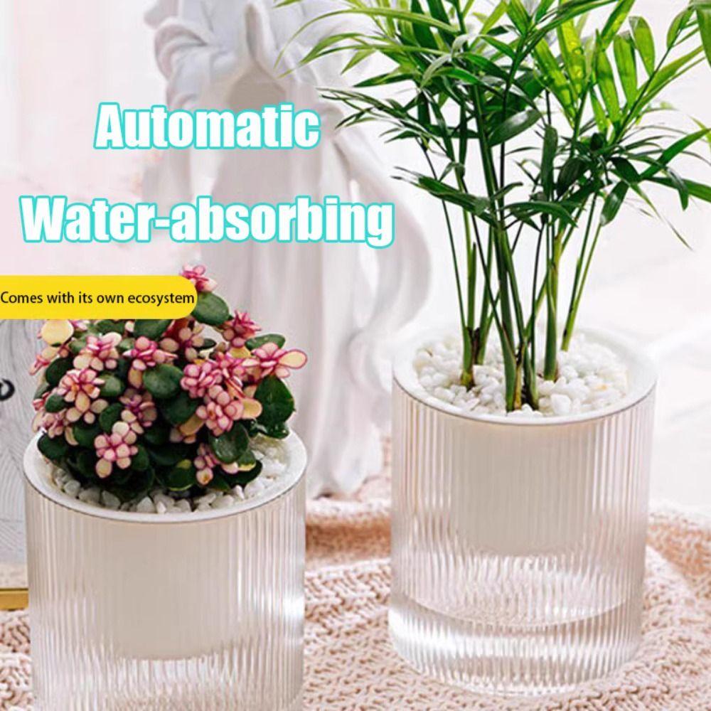 Transparent Hydroponic Planter Plastic Water Storage Flower Pot Durable Potted Flower Pot Garden