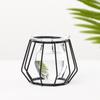 Decoration Plants Frame Hydroponic Vase Terrarium Metal Holder Glass Planter Iron Geometric Pattern