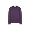 SS23 Stellina Series Solid Color Star Embroidery Casual Sweatshirt Men Sweatshirt Purple 7815631G5-V0026