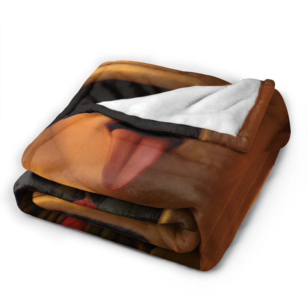 Warm BlanketBoy Girl Decorative Charlie Kirk Throw Blanket Flannel Bedspread For Couch Chair Novelty Sofa Bed Cover