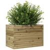 Plant Pot 70x40x45.5 Cm Pressure Treated Pine Wood