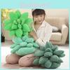 Cozy Plush Succulent Plant Stuff Toys Pillow For Adorable Home Decor And Gifts