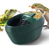 Reptilien Trinkbrunnen Chamäleon Zubehör Automatisches Zirkulationssystem mit Rinne, Bartagamen Käfig Zubehör Reptilien Lebensraum