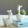 Kawaii Giraffe Blumentopf Sukkulenten Topf Keramik Desktop Topf Übertopf Bonsai Kunst Vase Wohnkultur Büro Dekoration Blumentopf Garten Liefert