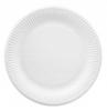 Jan Niezbędny ecological paper plates for barbecue 12 pcs