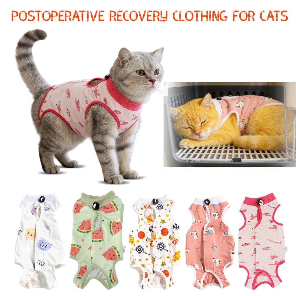 Post-operative Recovery Clothing For Cats