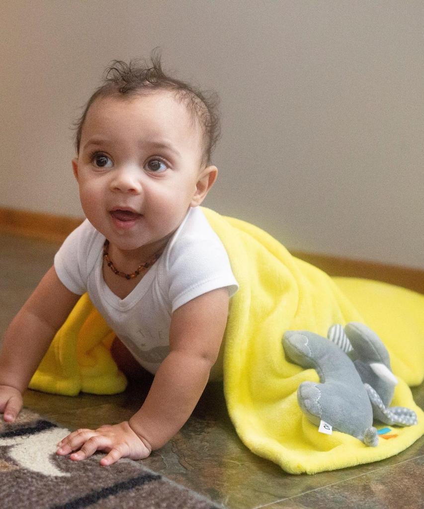 Zoocchini Maskottchen-Decke Ellie der Elefant 1 Decke Babydecke Japanisch - - - [Authentisches Produkt]