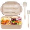 Bento Lunch Box For Kids Childrens With Spoon - Durable Perfect Size for On-the-Go Meal and Food-Safe Materials