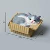 Adorable Cat In Box Napping Resin Figurine Kawaii Desktop Decor Car Ornament Ideal Gift For Cat Lovers
