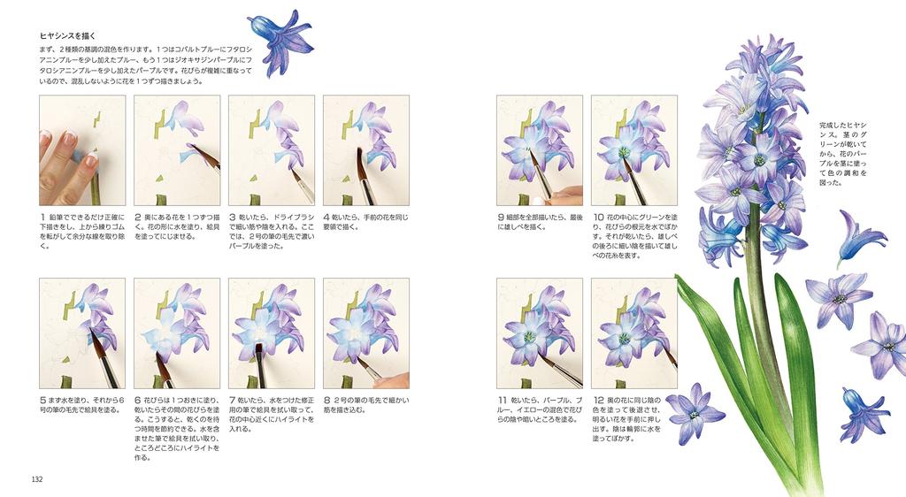 Watercolor Botanical Art