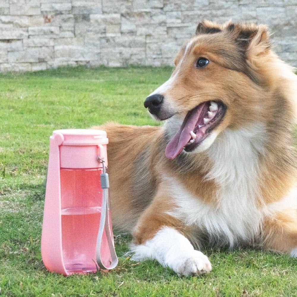 Portable 450ml Dog Water Bottle BPA Free Foldable Dog Water Dispenser Leak Proof Pet Water Bottle Outdoor