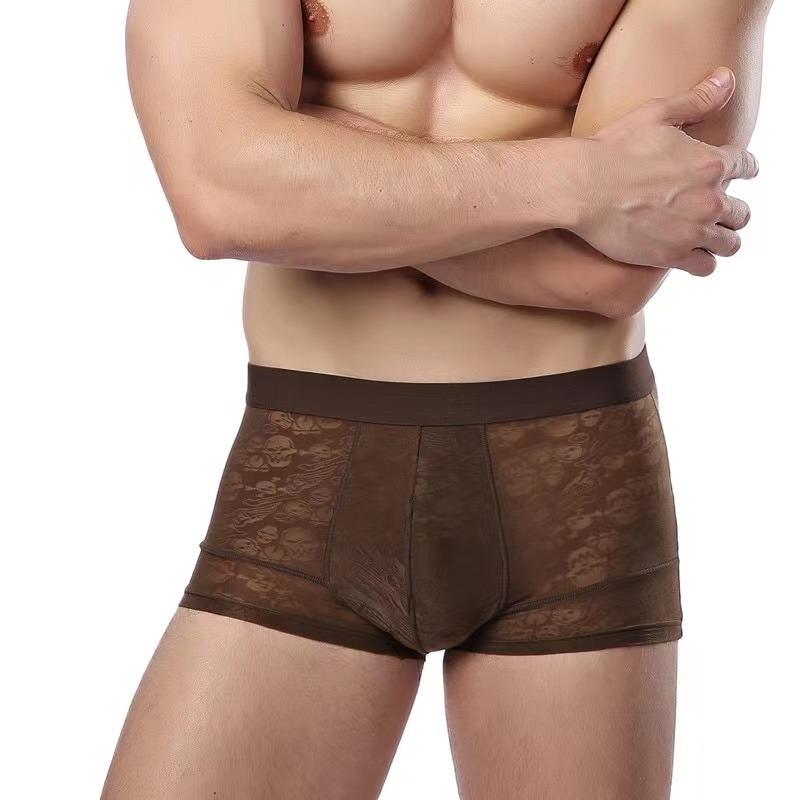 Pánské prodyšné průhledné boxerky Sexy spodní prádlo kalhotky kalhotky