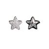 Diamond-encrusted five-pointed star zircon ear buckle light luxury fashion cold wind earrings niche personality high-end earrings
