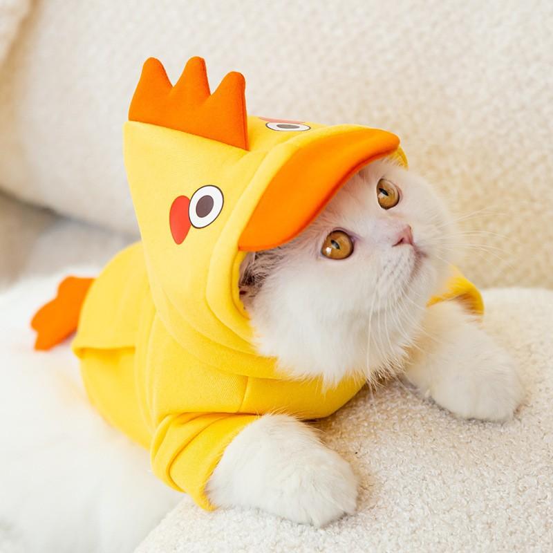 Spring and Autumn Thin Three-dimensional Mushroom Sweater Dog Clothes Teddy Bigbear Cat Medium Small Dog Pet Clothes