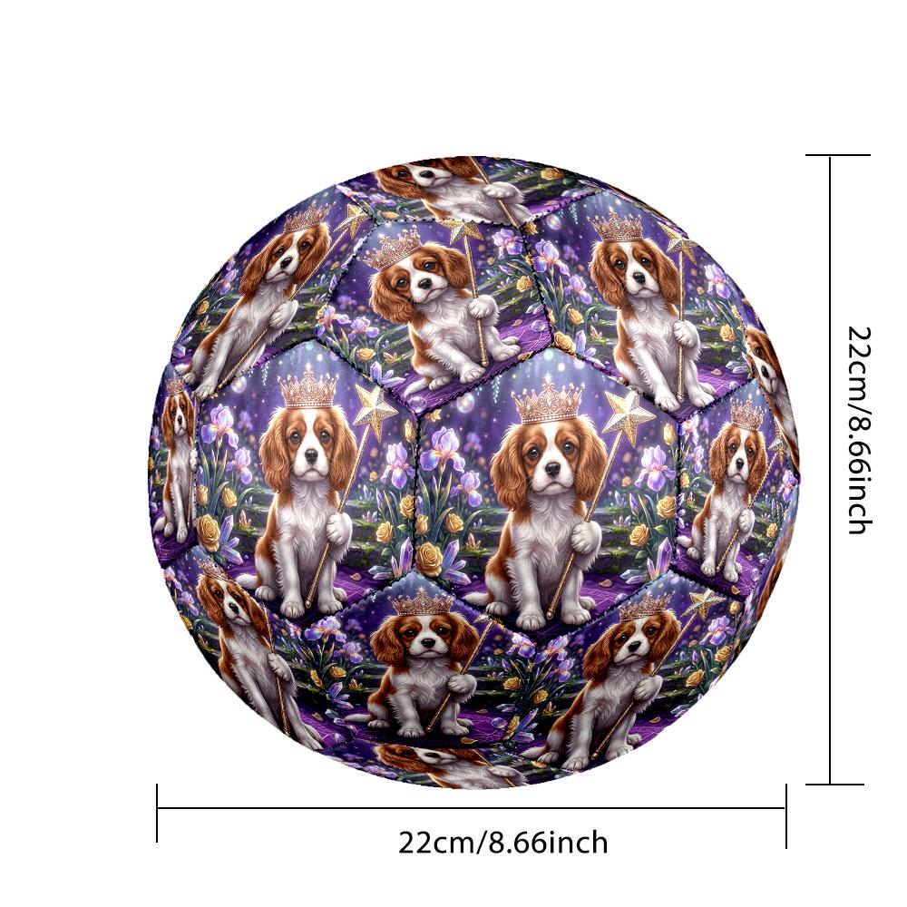 1pc Royal Canine Magic Size 5 Soccer Ball Professional Lightweight Durable Match Training Football Indoor &Outdoor Sports BallTraining Ball Y77