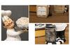 European Chef Figurine - Decorative Ornament for Home, Cafe, Cake Shop, or Living Room
