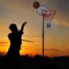 Dunker Adjustable Basketball Stand
