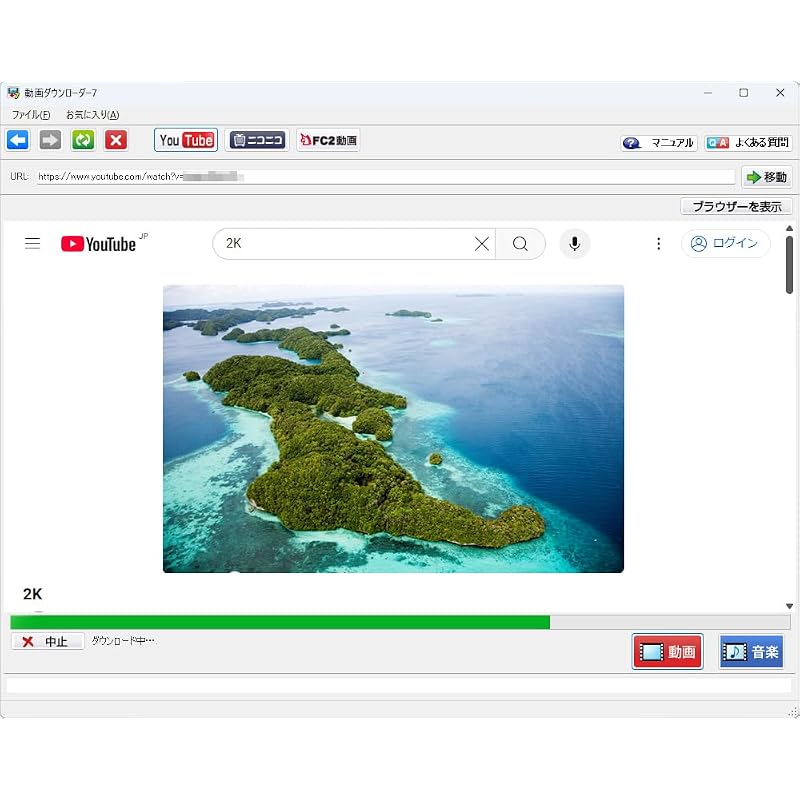 Video Downloader 7