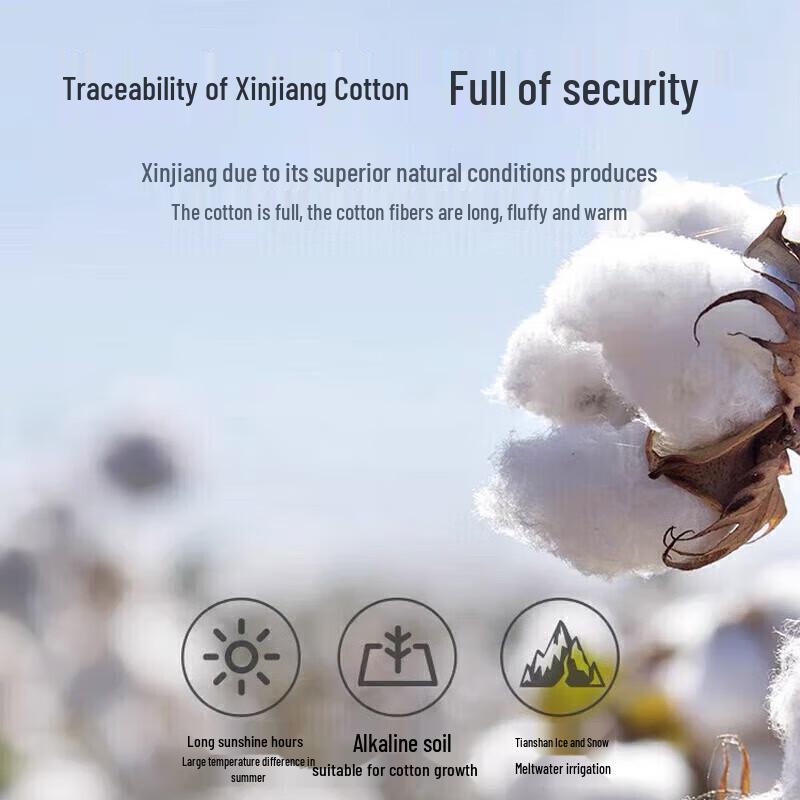LOVO Light Warm Antibacterial Fluffy Cotton Duvet