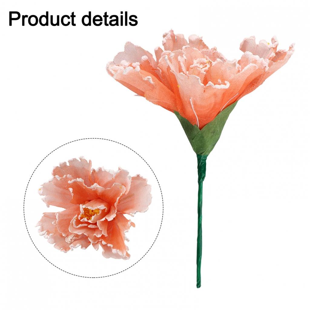Peony Flower Flower Head Diameter Space Green Stem Website