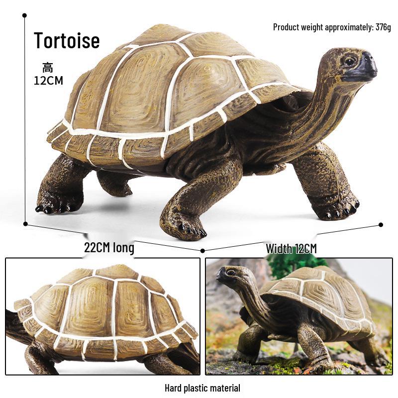 Children's Cognitive Marine Animal Models: Sea Turtle and Tortoise Toys