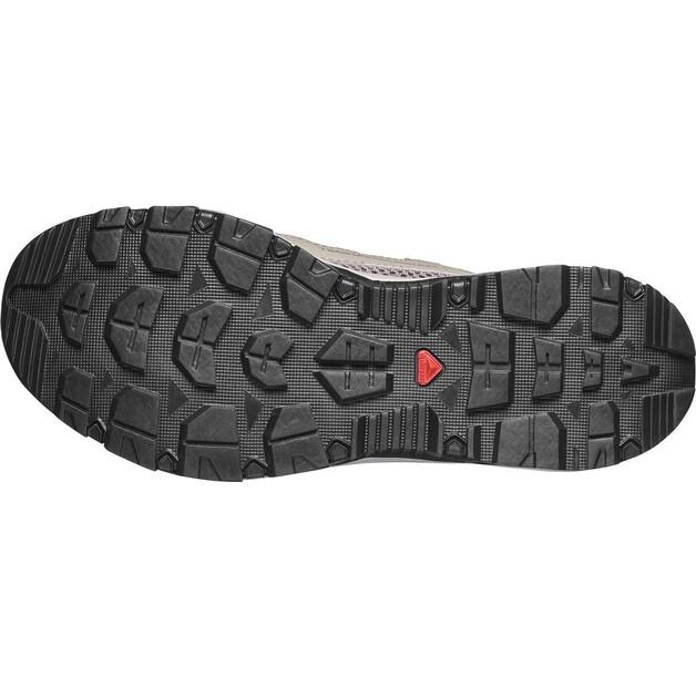 Ботинки для хайкинга Salomon Techamphibian 5 silves/iron/knoc фиолетовый/серый