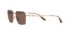 Lunettes de soleil EA2140 MAT OR PÂLE MAT Verre MARRON 57 [Emporio Armani] Monture/FONCÉ