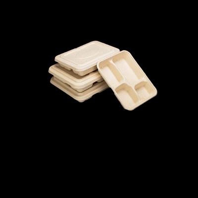Eco-Friendly 1300ml Five-Compartment Disposable Pulp Lunch Box