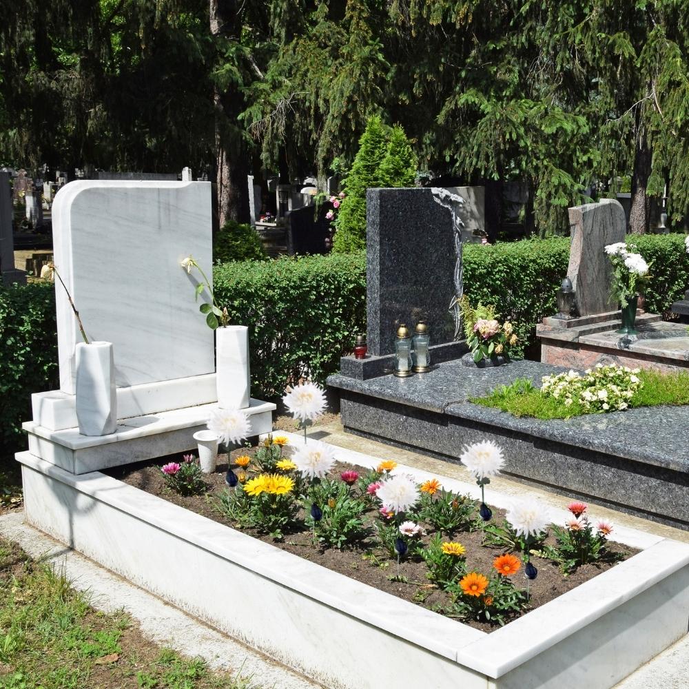 Solar Lighting Lamp Set 2x LED Flowers Solar Chrysanthemum GoGarden