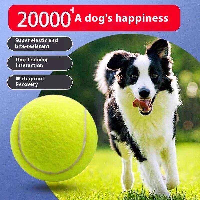Pet Toy Tennis Dog Grinding Teeth Rebound Elastic Ball Outdoor Training Ball Interactive Toy Puppy