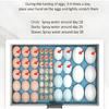 24-hour Thermostatic Small Poultry Egg Incubator Biomimetic Waterbed Fully Automatic Incubator Intelligent Chicken Duck Goose