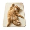 Water-absorbing Cute Cat Floor Mat Non-slip Floor Mat New Bathroom Carpet  Living Room Tea