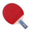 Double Fish 1-Star Beginner Table Tennis Racket