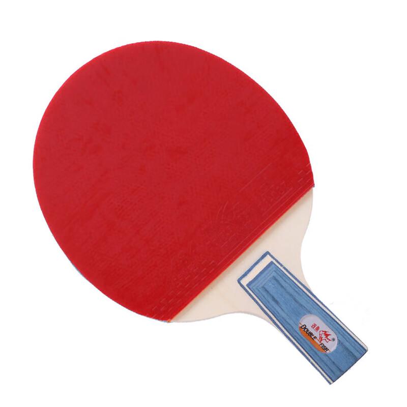 Double Fish 1-Star Beginner Table Tennis Racket