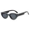 Fashion Cat's Eye Women's Sunglasses Retro and Simple Suitable for Daily Shopping Wear Accessories