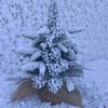 Mini Christmas Tree Snow Scene Desktop Ornament