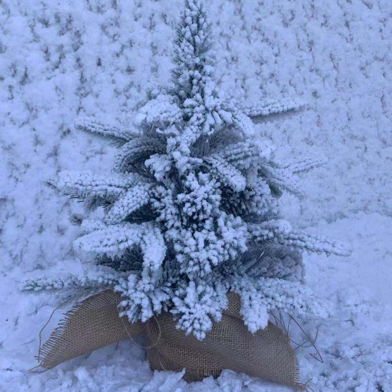 Mini Christmas Tree Snow Scene Desktop Ornament