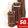 Wood Chips & Tree Slices DIY Craft Kit for Kids