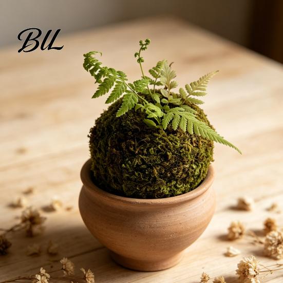 Humidity Maintaining Planter Moss Ball Flower Pot, Natural Green Bonsai Plant Holder, Decorative Spherical Pot for Home, Garden, Wedding Party