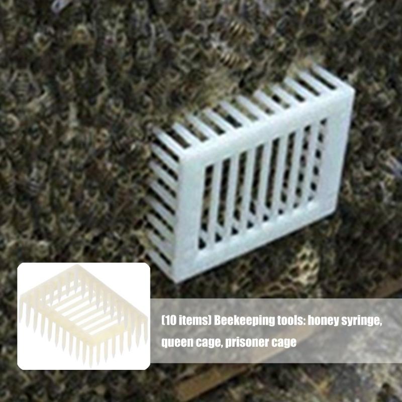 10Pcs Beekeeping Queen Cage Plastic Honeys Cage Container Suitable For Efficient Hives Management And Worker Bees Access