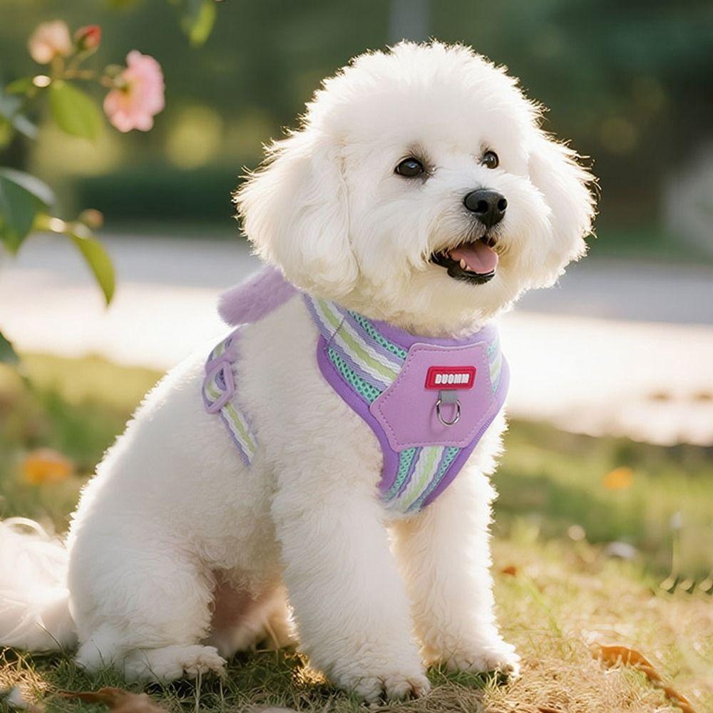 Soft Dog Harness Quicklace Pet Walking Vest Sturdy Pet Chest Strap  for Dogs Cats