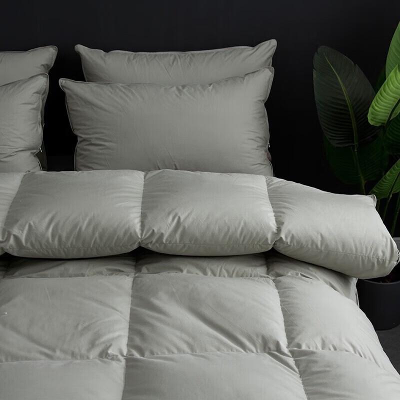 Muxinzi Winter Warm Nano Pearl Fiber Comforter