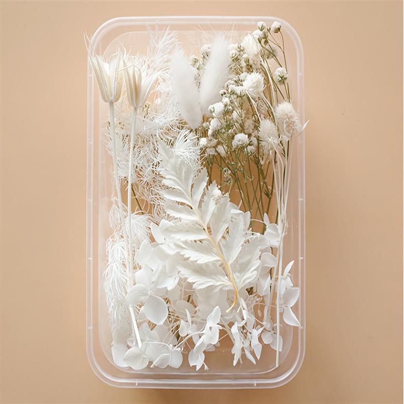 

Набор для рукоделия «Разноцветные сухоцветы и листья» Формы из смолы для изготовления украшений, нейл-арта, свечей, мыла и домашнего декора