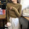Spring High-end Slim-fit Short Inner Temperament Semi-turtleneck Long-sleeved Knitted Bottoming Shirt Women's Pit Strip Sweater