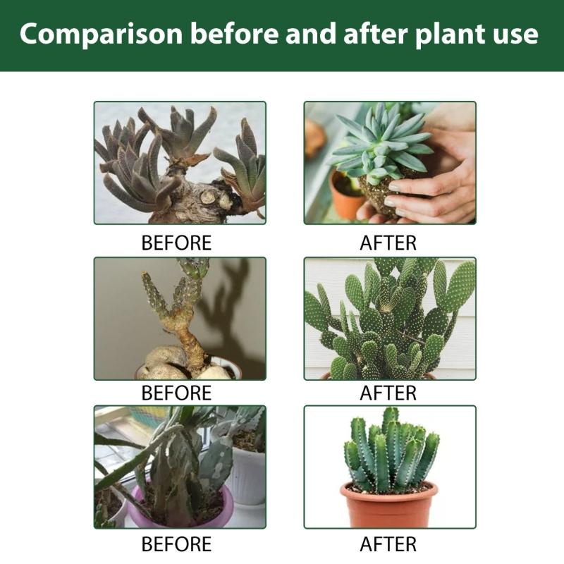 Fertilizzanti Spray Professionali per Cactus Nebulizzazione per Giardinaggio Miscela Delicata Nebulizzazione per la Salute Nutrienti per la Crescita delle Foglie