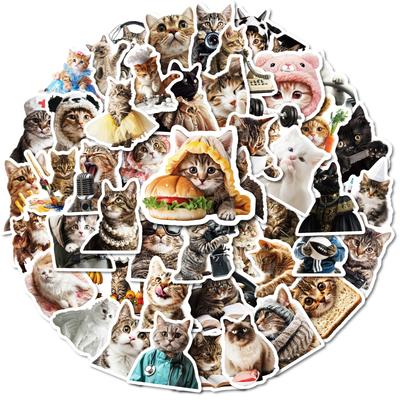 50 Kittens Collection Stickers Expression Pack Personality Creative Ins Wind Electric Vehicle Helmet Decorative Stickers